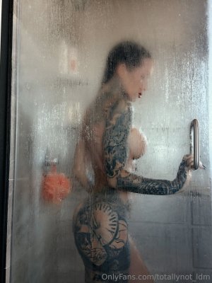 ldmfitmodel