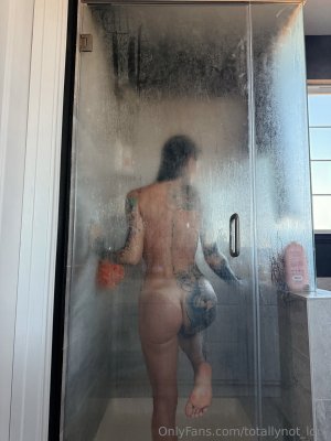 ldmfitmodel
