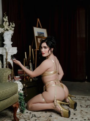 Yanet Gutierrez Photo #221