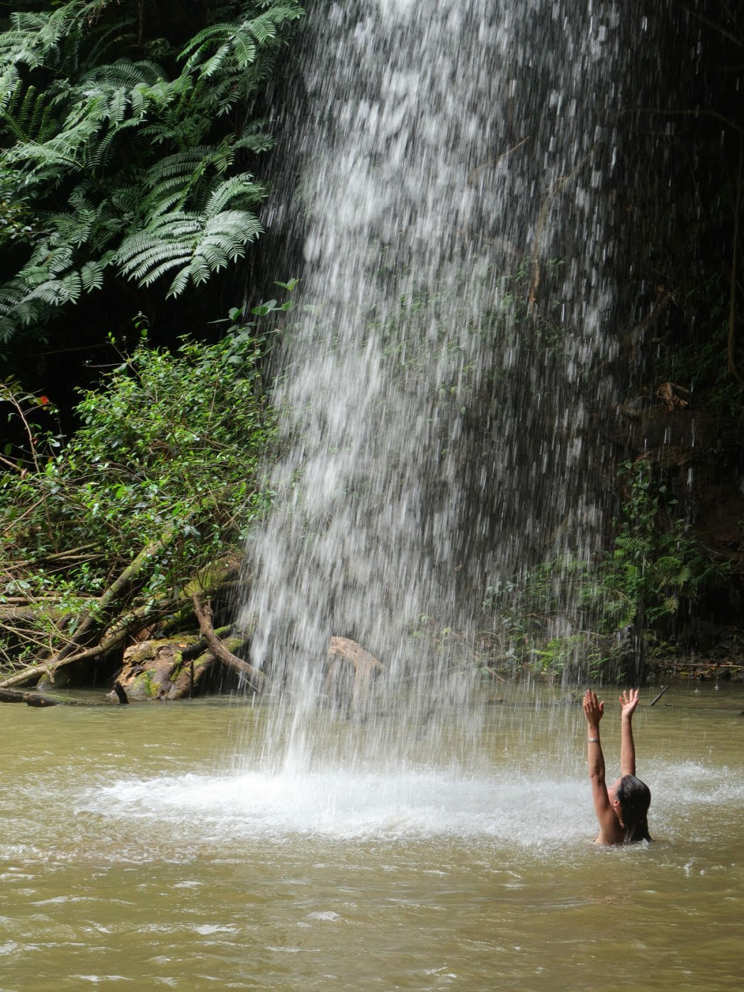 Sylvia Snyders Photo #118
