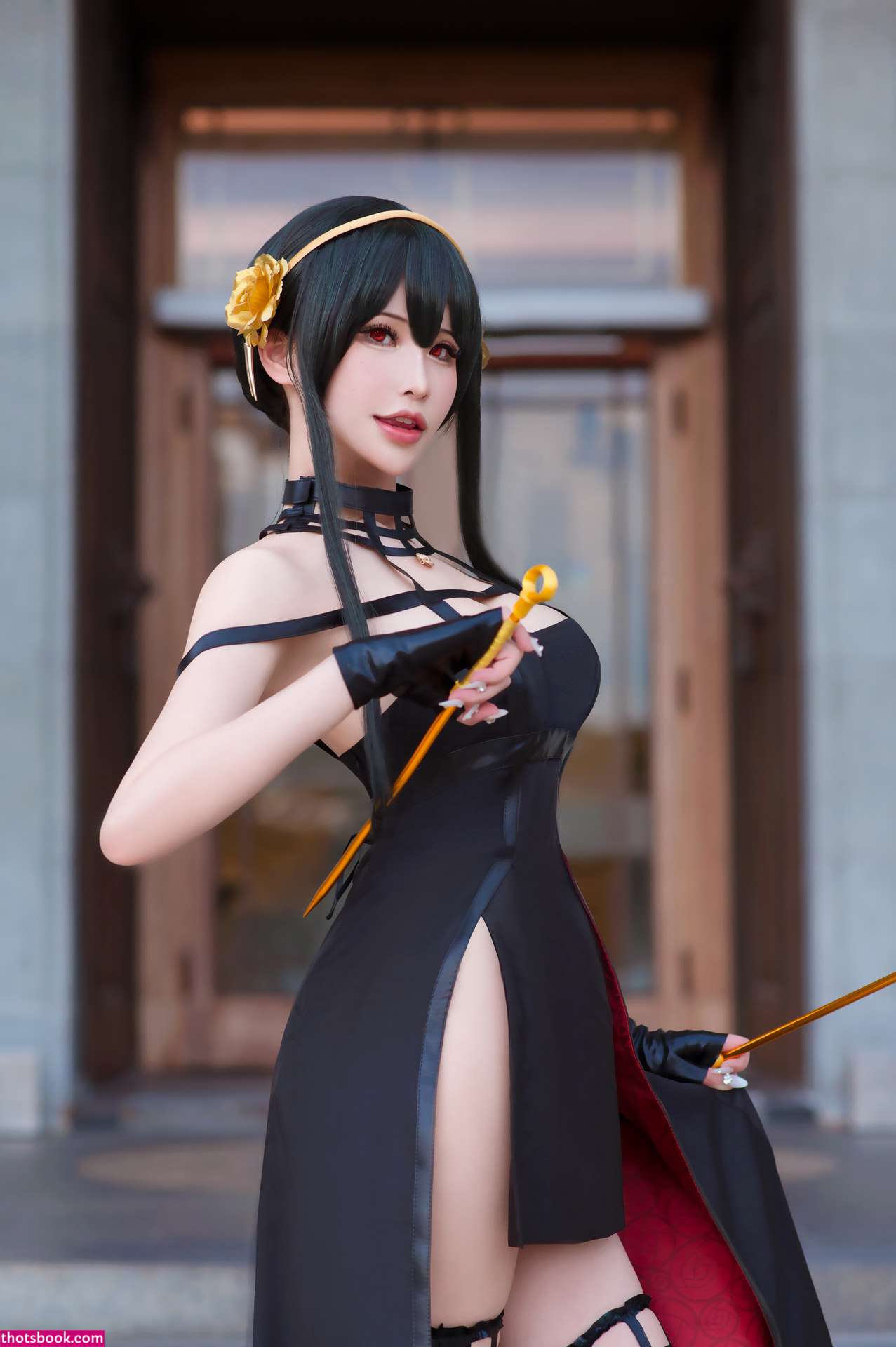 Plant Lily Photo #53