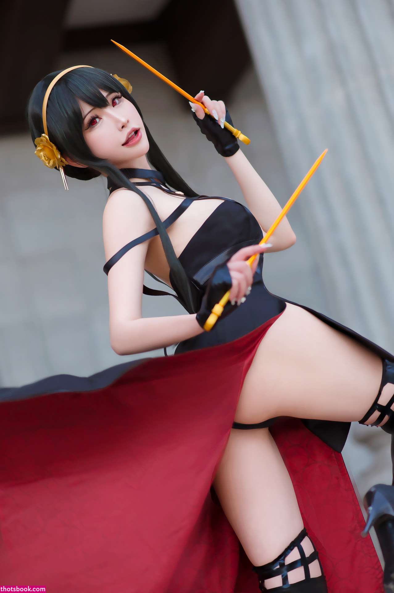 Plant Lily Photo #61