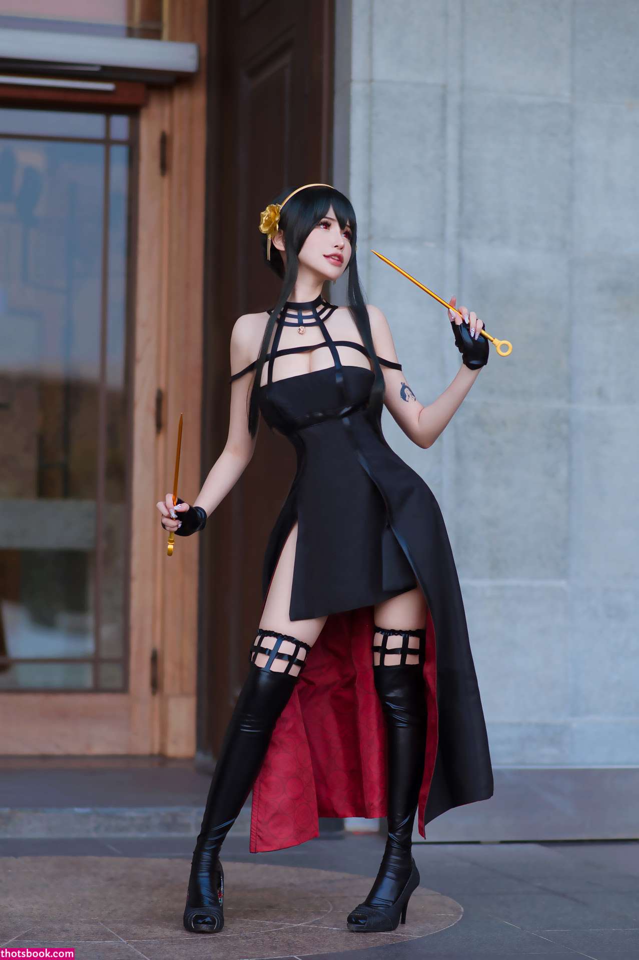 Plant Lily Photo #68