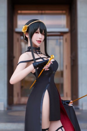 Plant Lily Photo #53