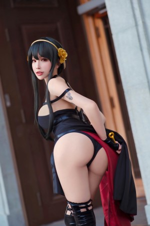 Plant Lily Photo #63