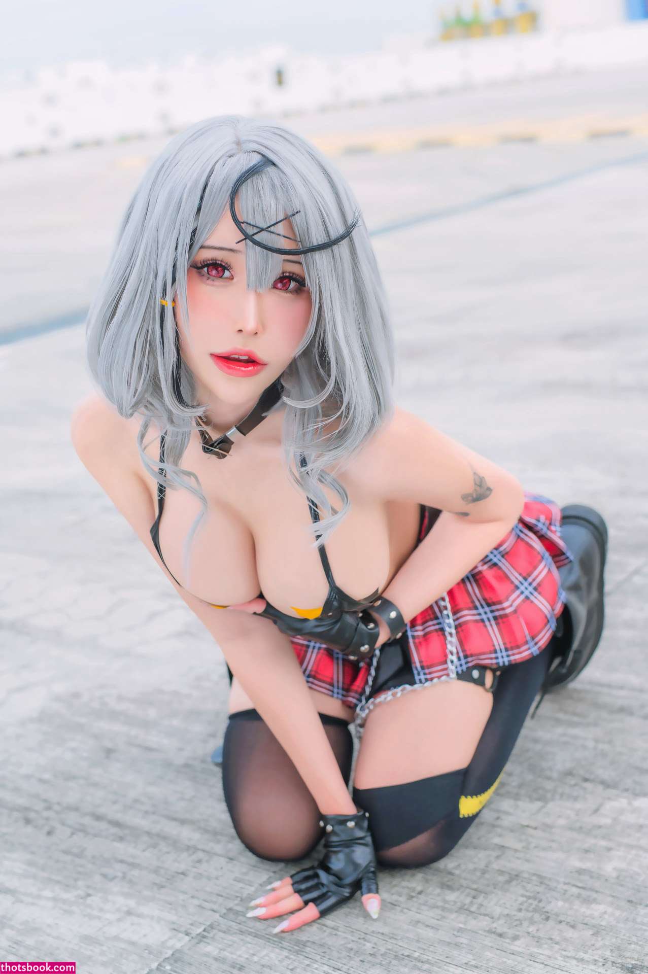 Plant Lily Photo #92