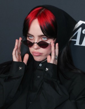 Billie Eilish Photo #220