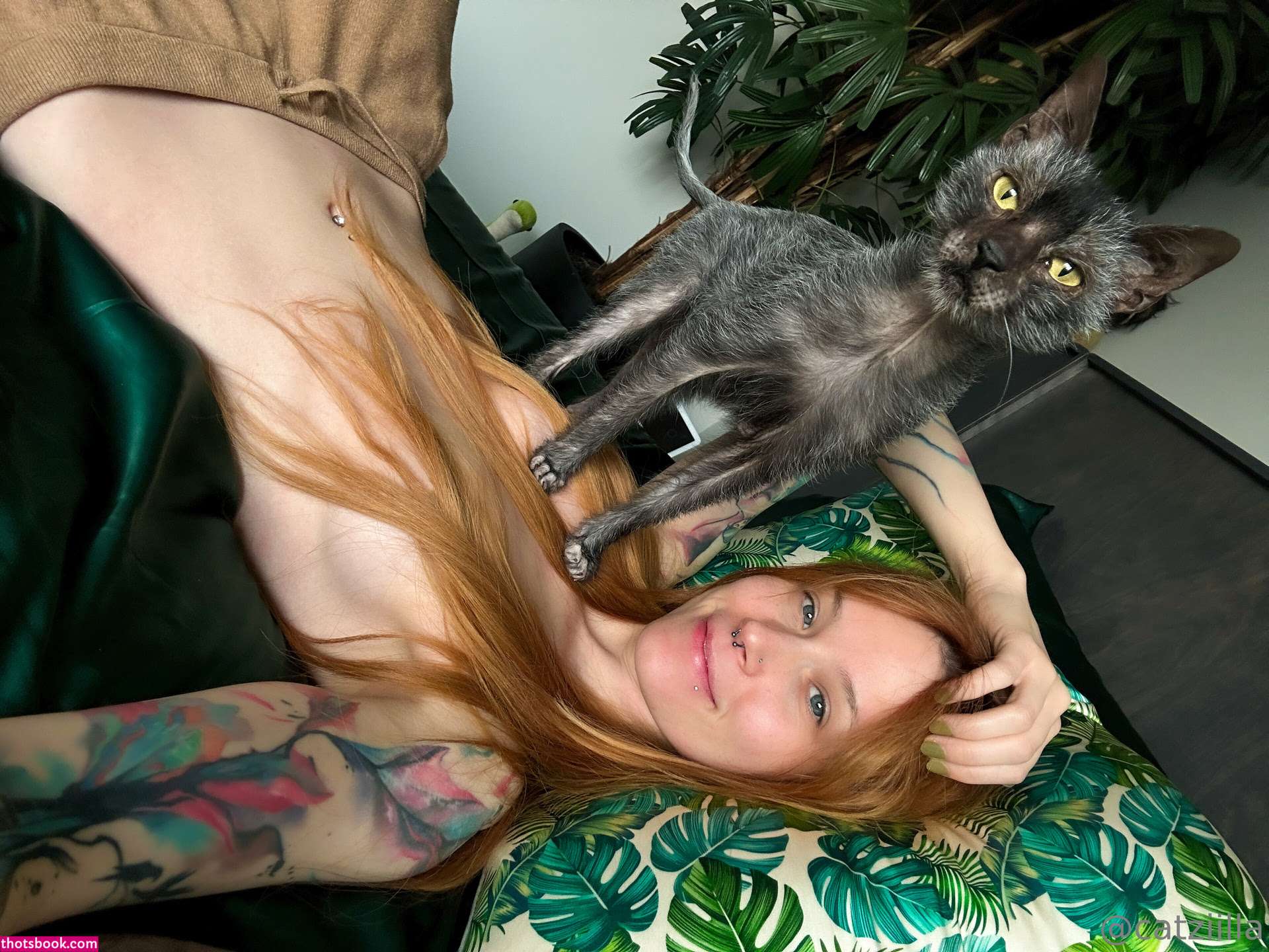 Catziilla Photo #188