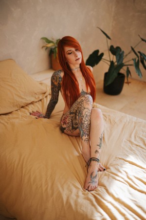 Kupferfuchs Photo #36