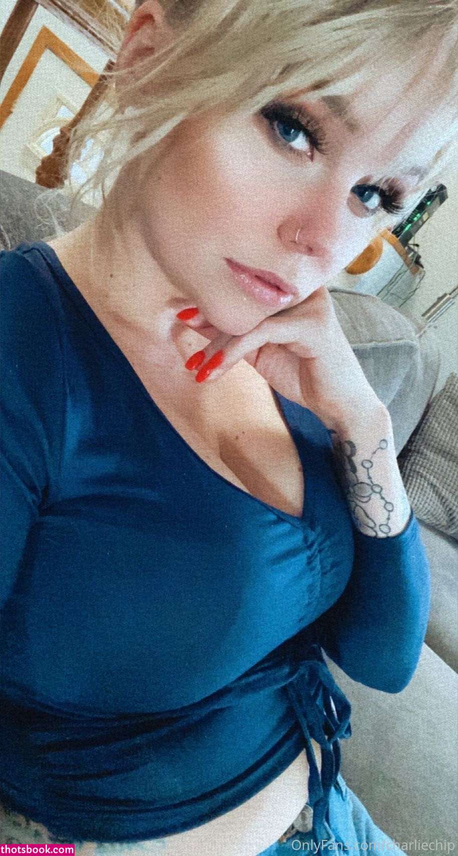 Charlie Chip Photo #51