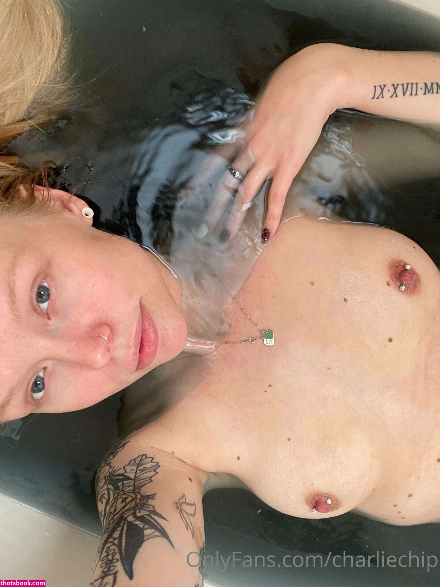 Charlie Chip Photo #100