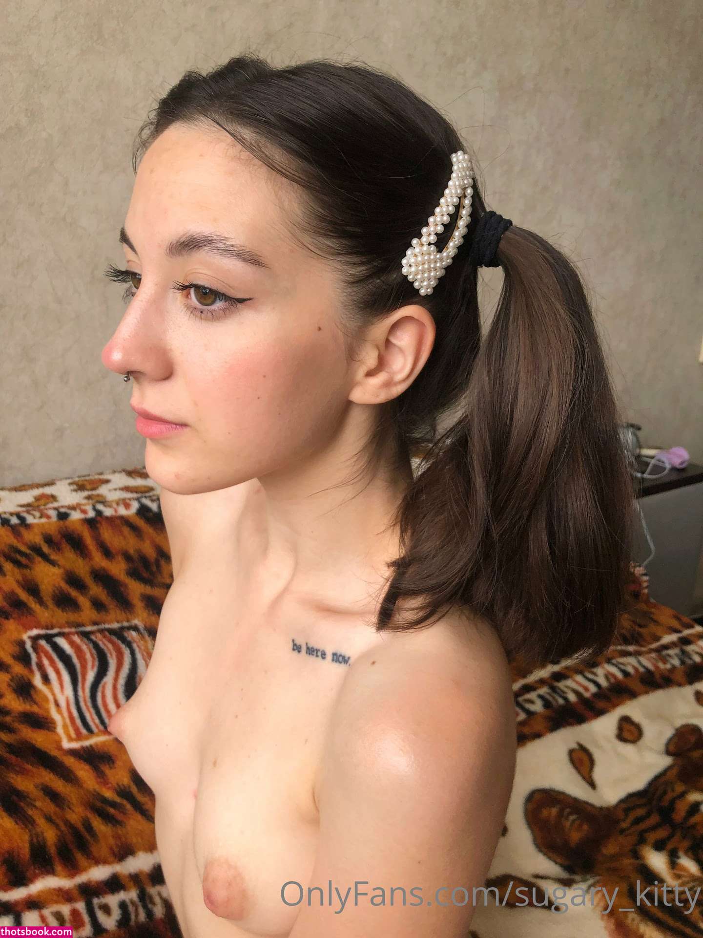 Sugary Kitty Photo #133