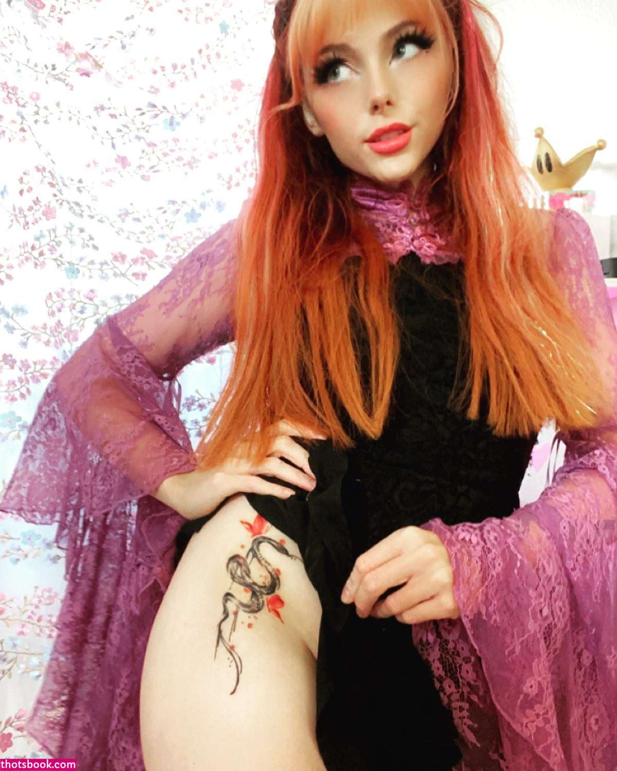 discobutterfly Photo #1