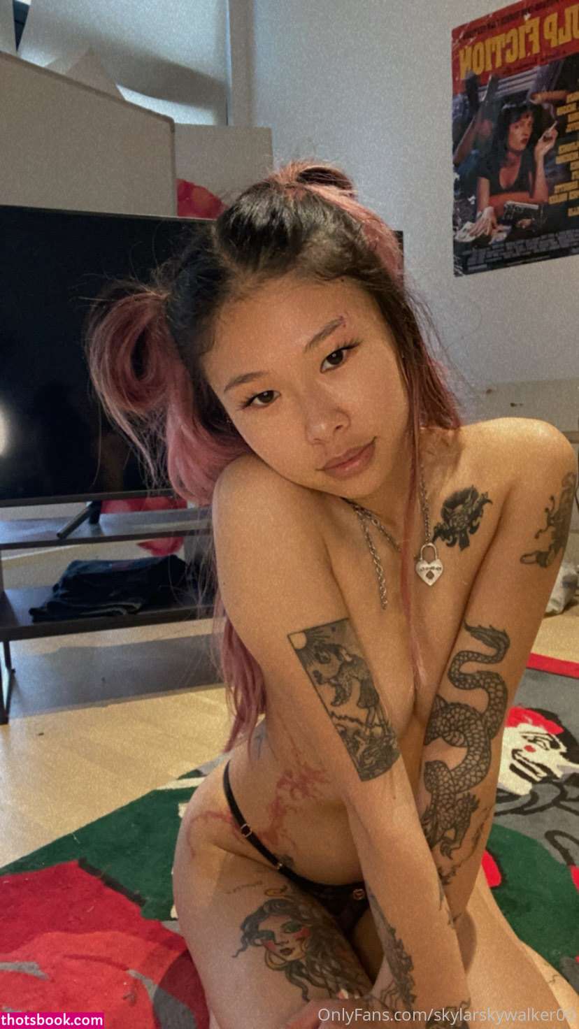 Skywalker Photo #114