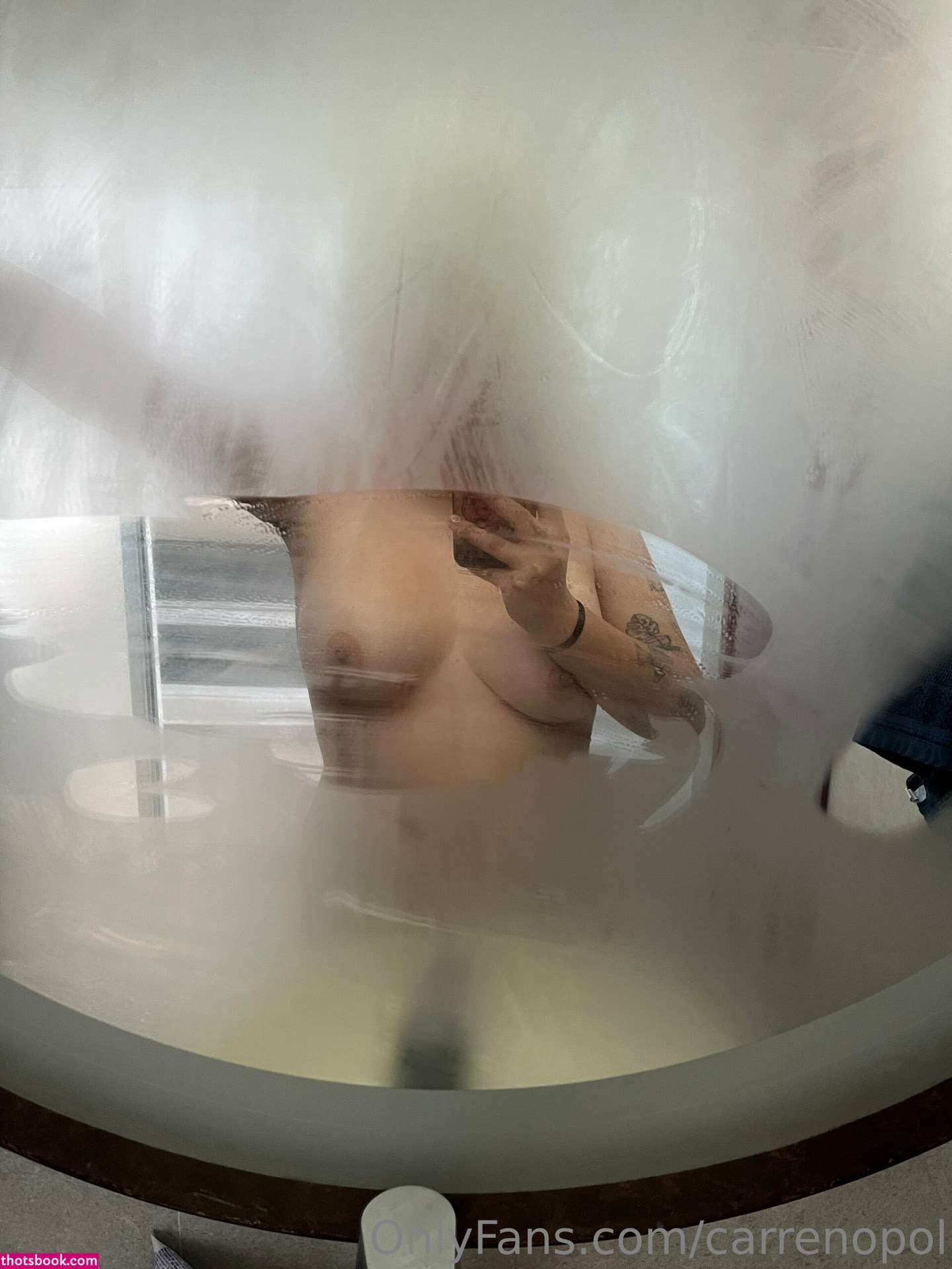 Carrenopol Photo #28