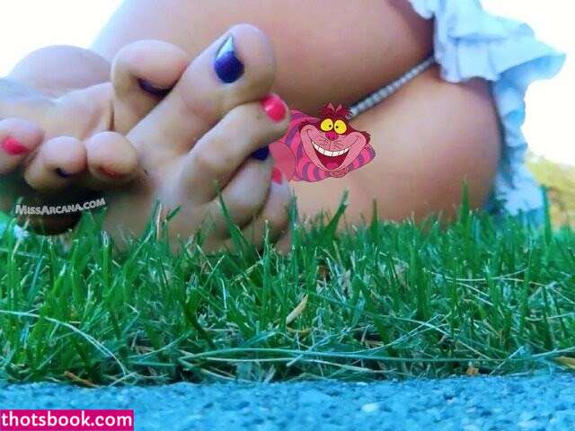 Missarcana Photo #33