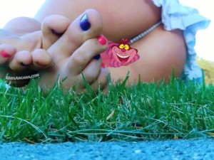 Missarcana Photo #33