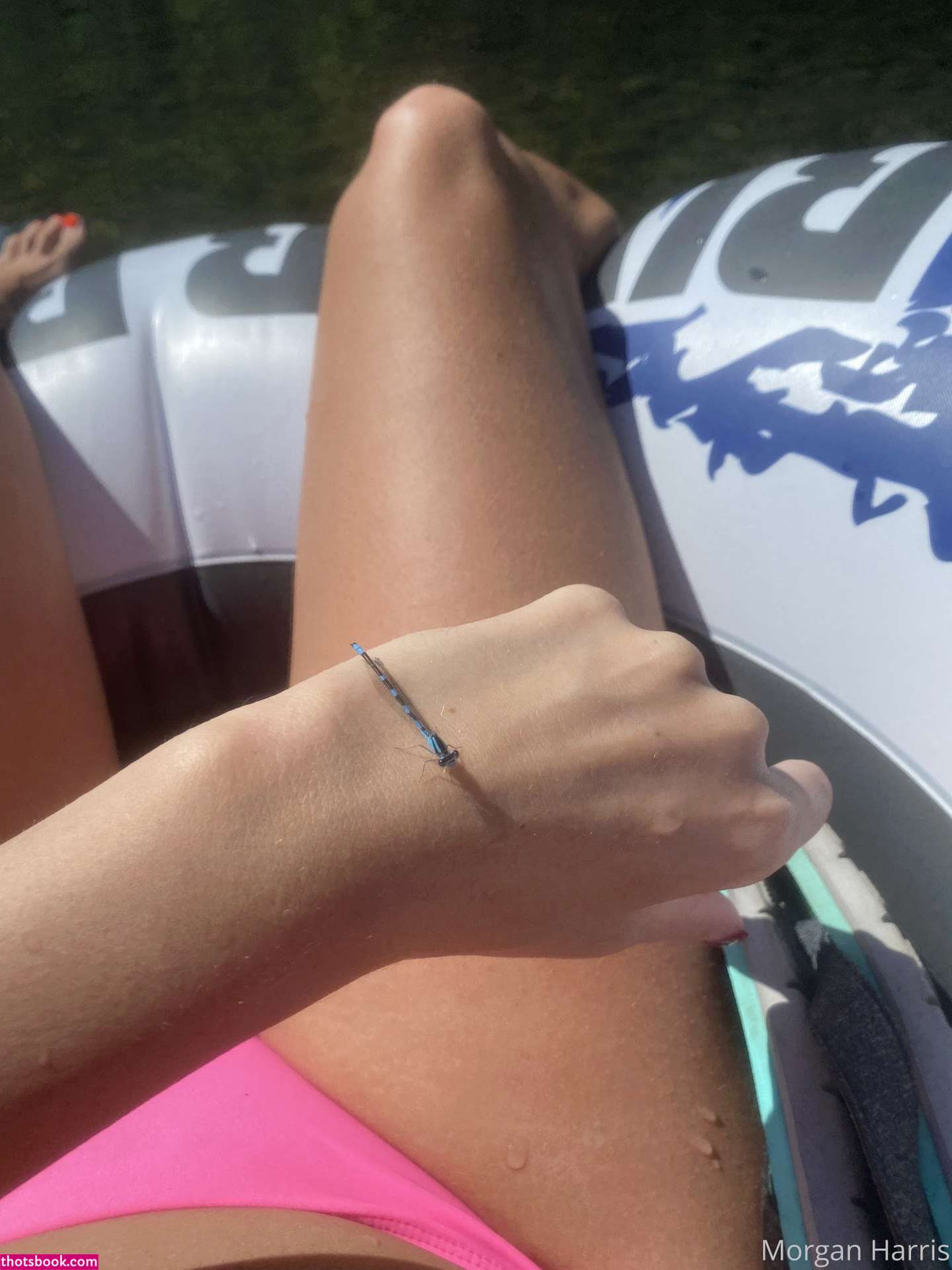 morganharris23 Photo #155