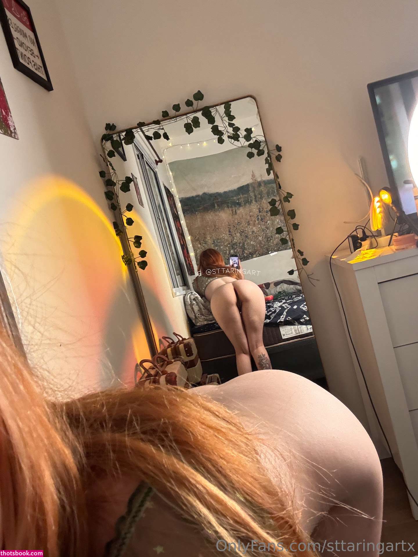 Sttaringart Photo #115