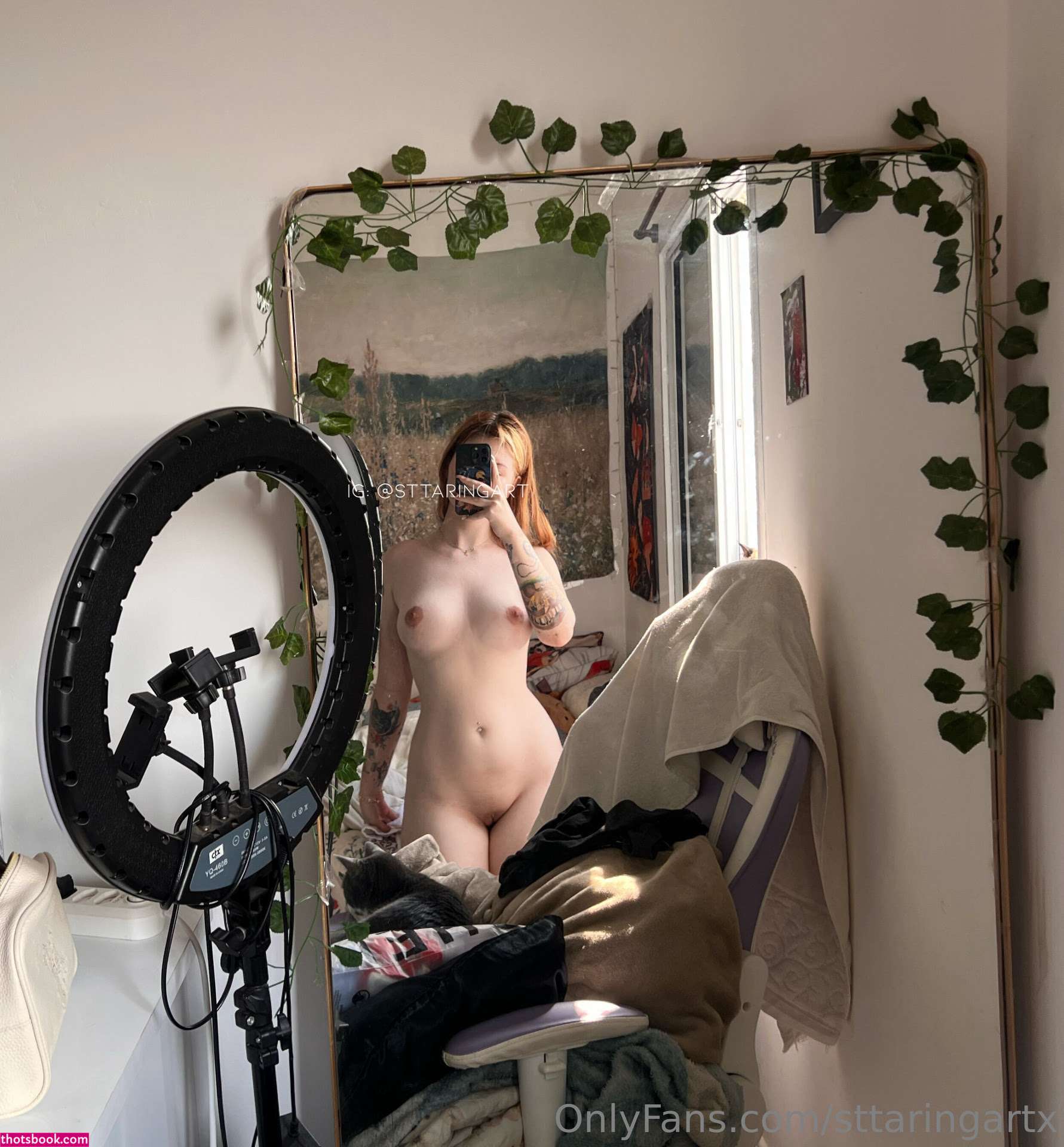 Sttaringart Photo #146