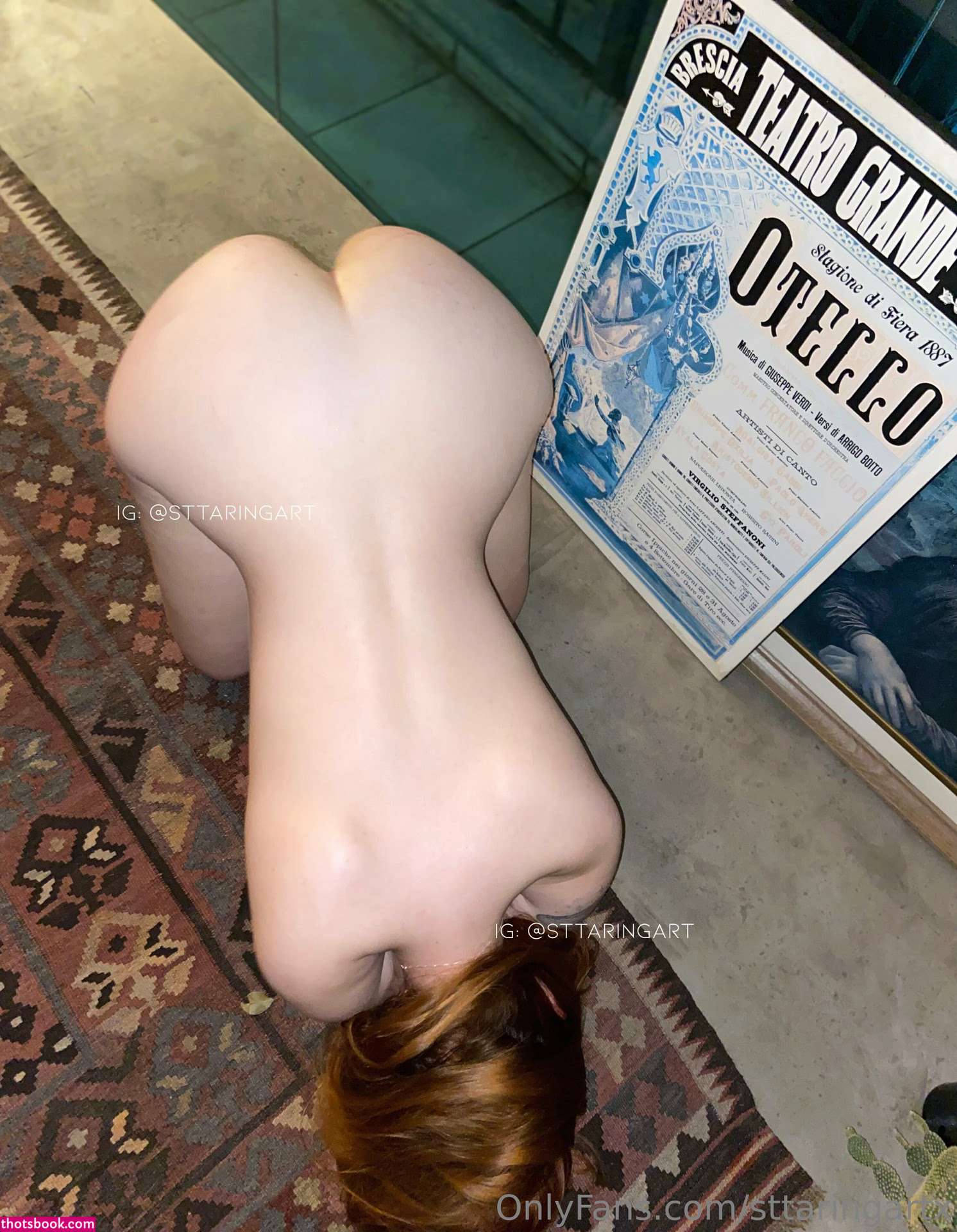 Sttaringart Photo #197