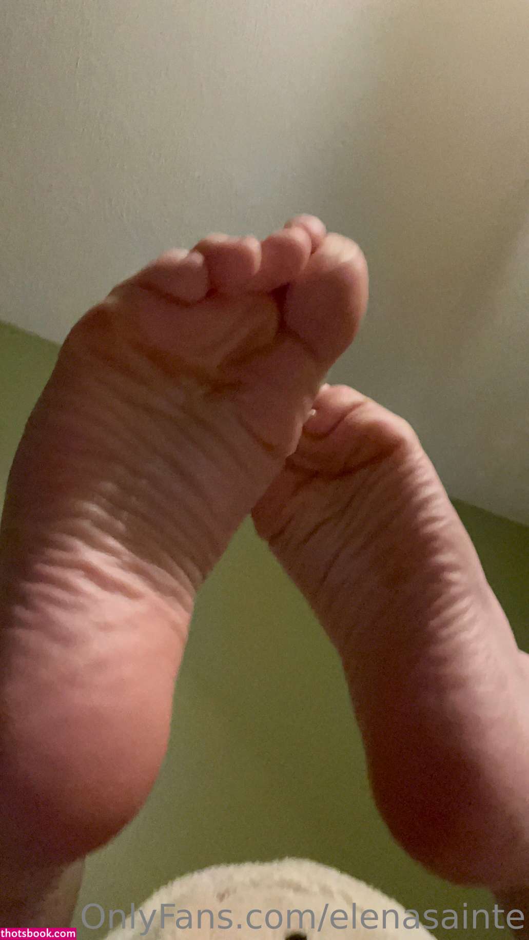 elenasainte Photo #42