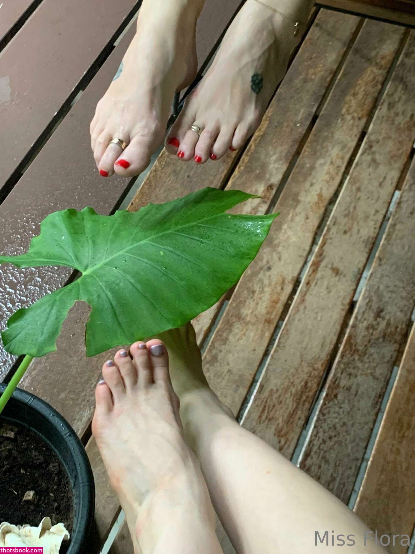 Miss Flora Femdom Photo #52