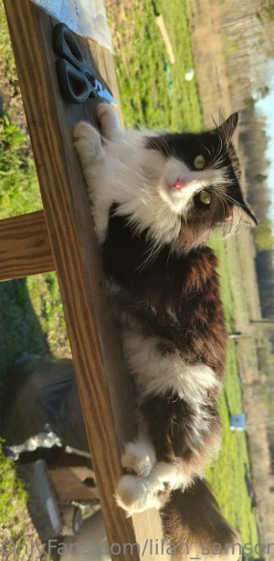 Lilah Samson Photo #82