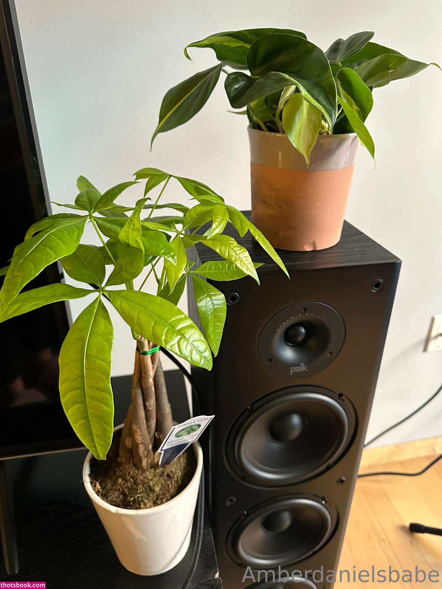 amberdanielsbabe Photo #143