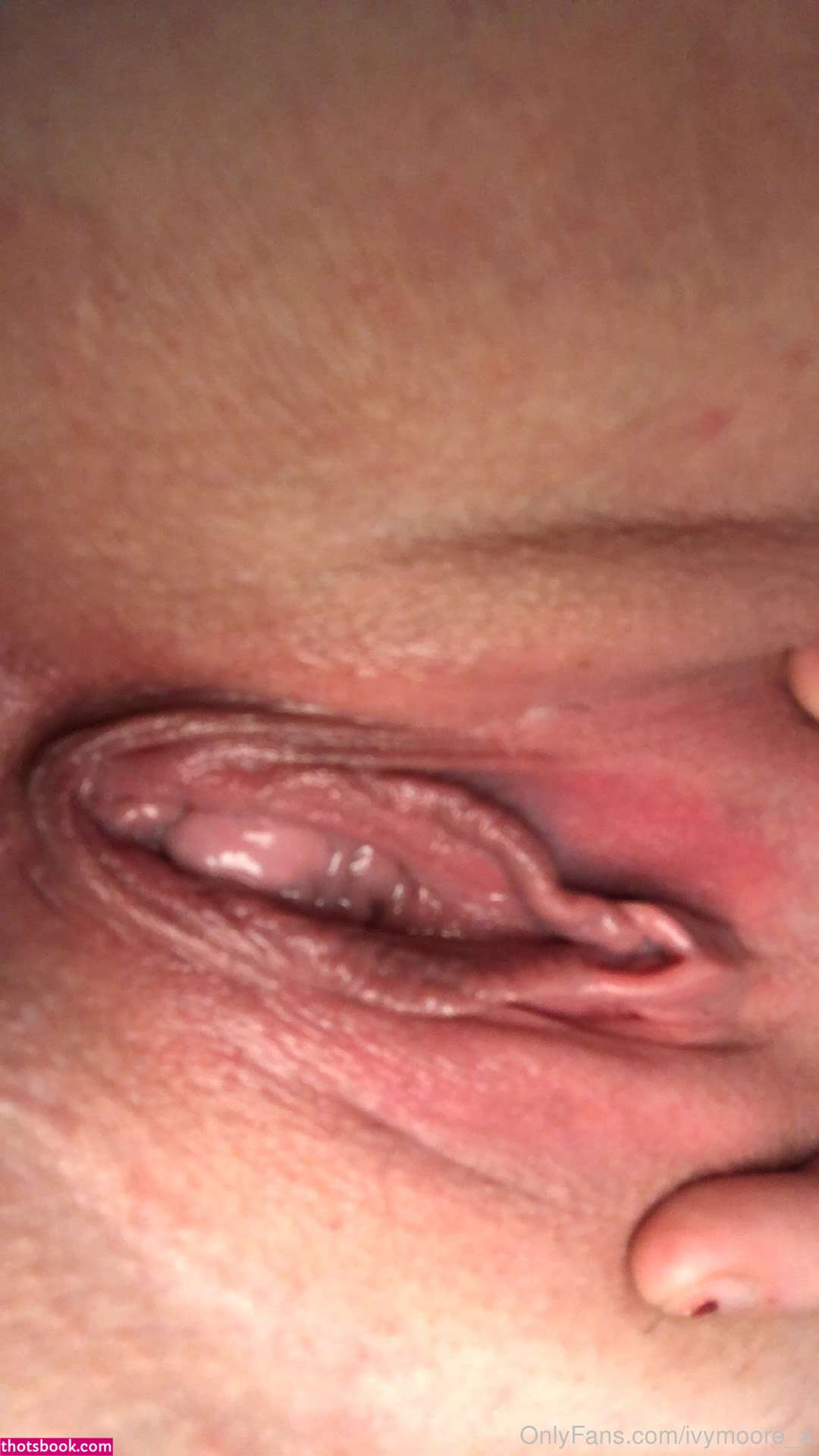 Ivymoorex Photo #108