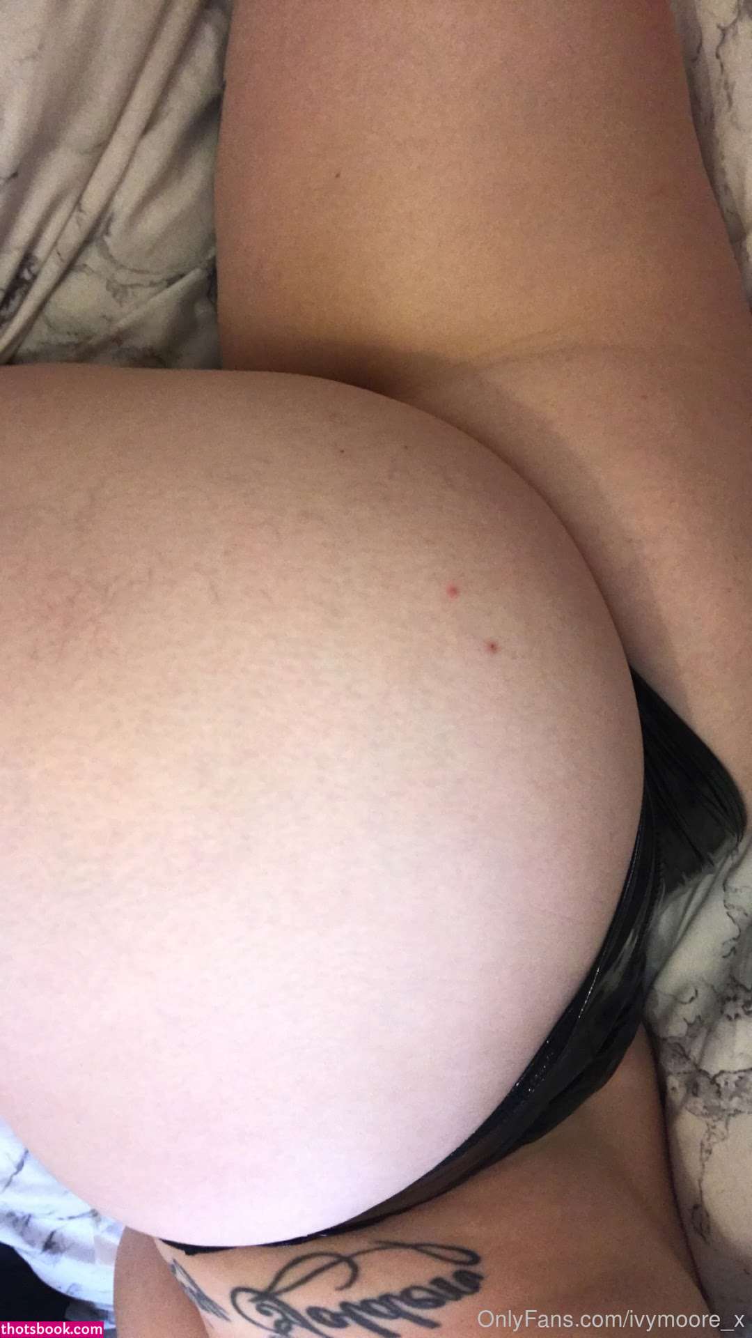 Ivymoorex Photo #159