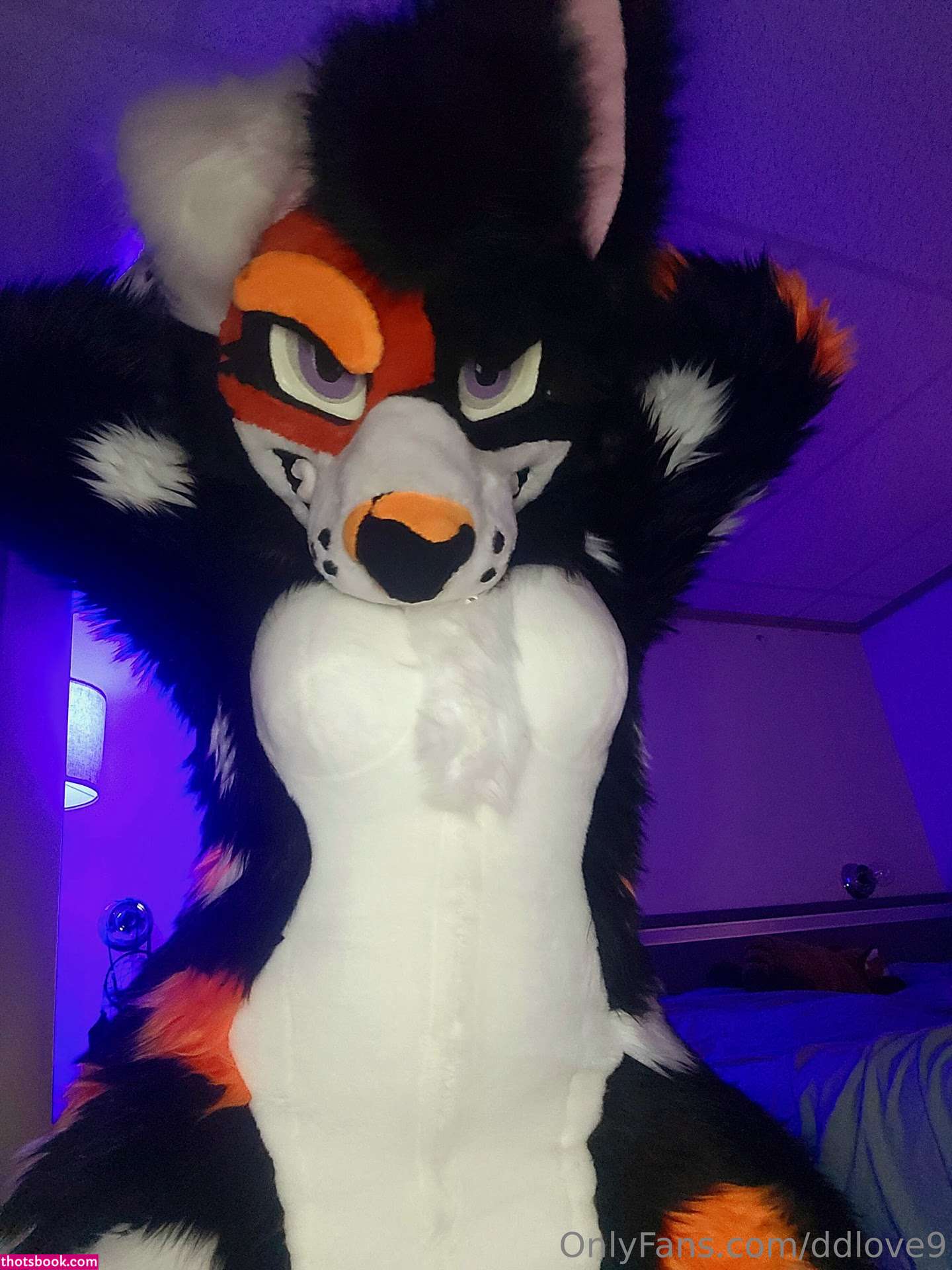 Diamondlove666 Photo #48