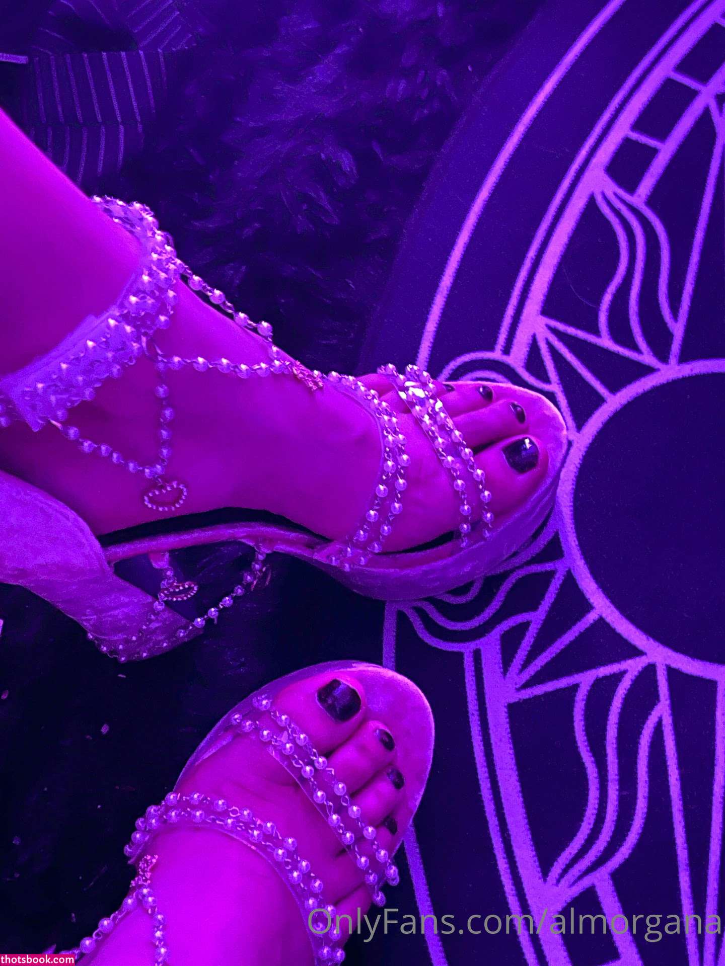 Almorgana Photo #195