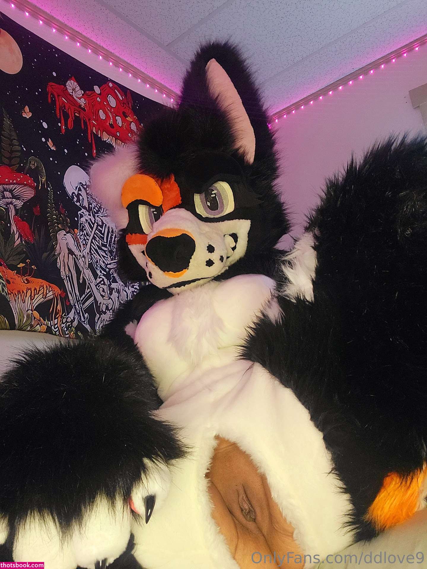 Diamondlove666 Photo #110