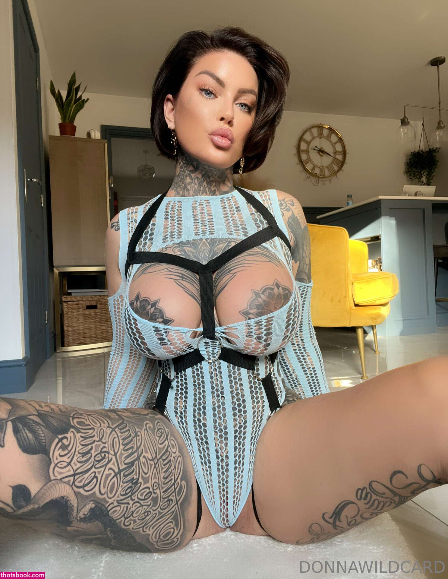 Donna Wildcard Photo #935