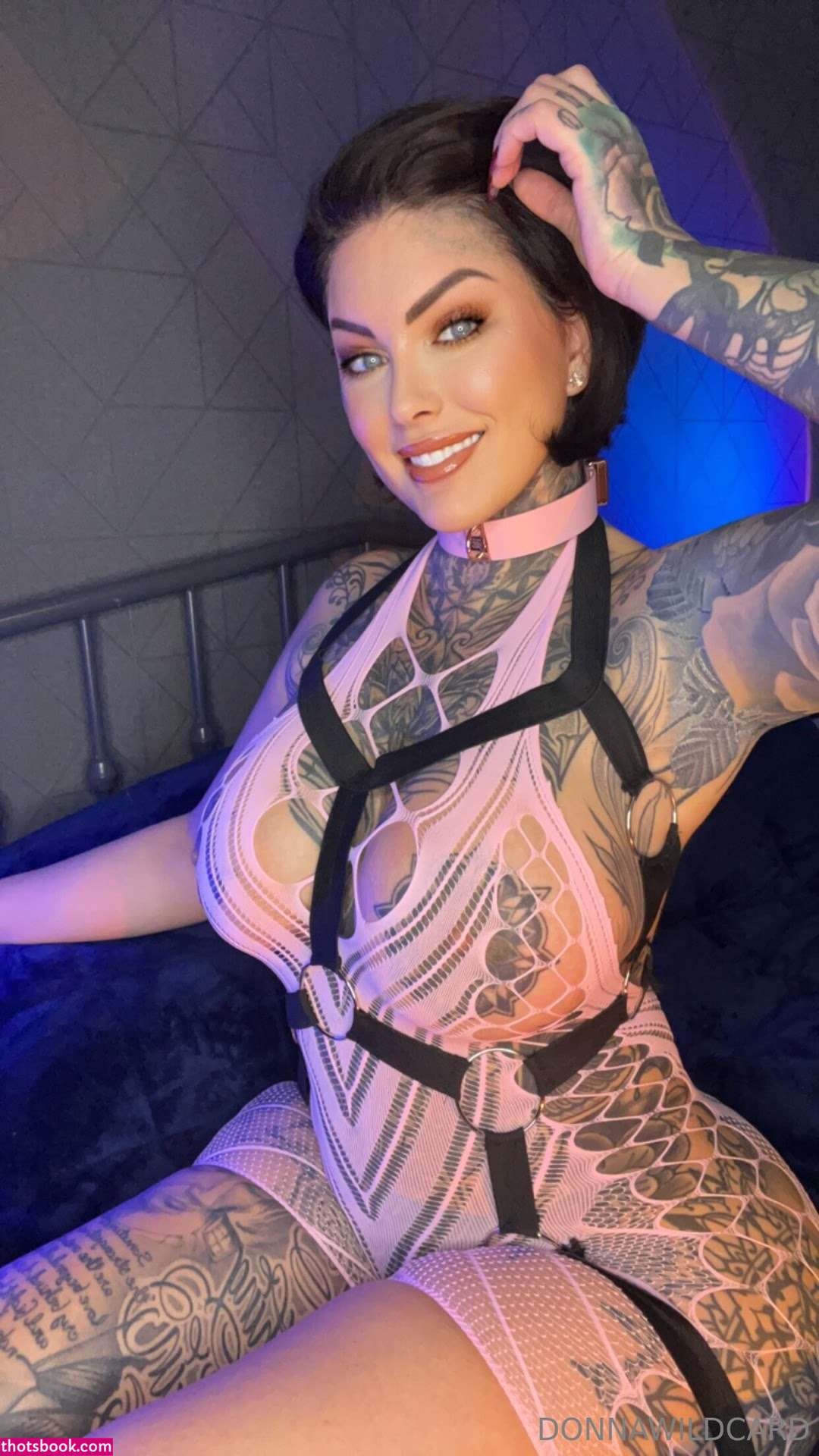 Donna Wildcard Photo #937