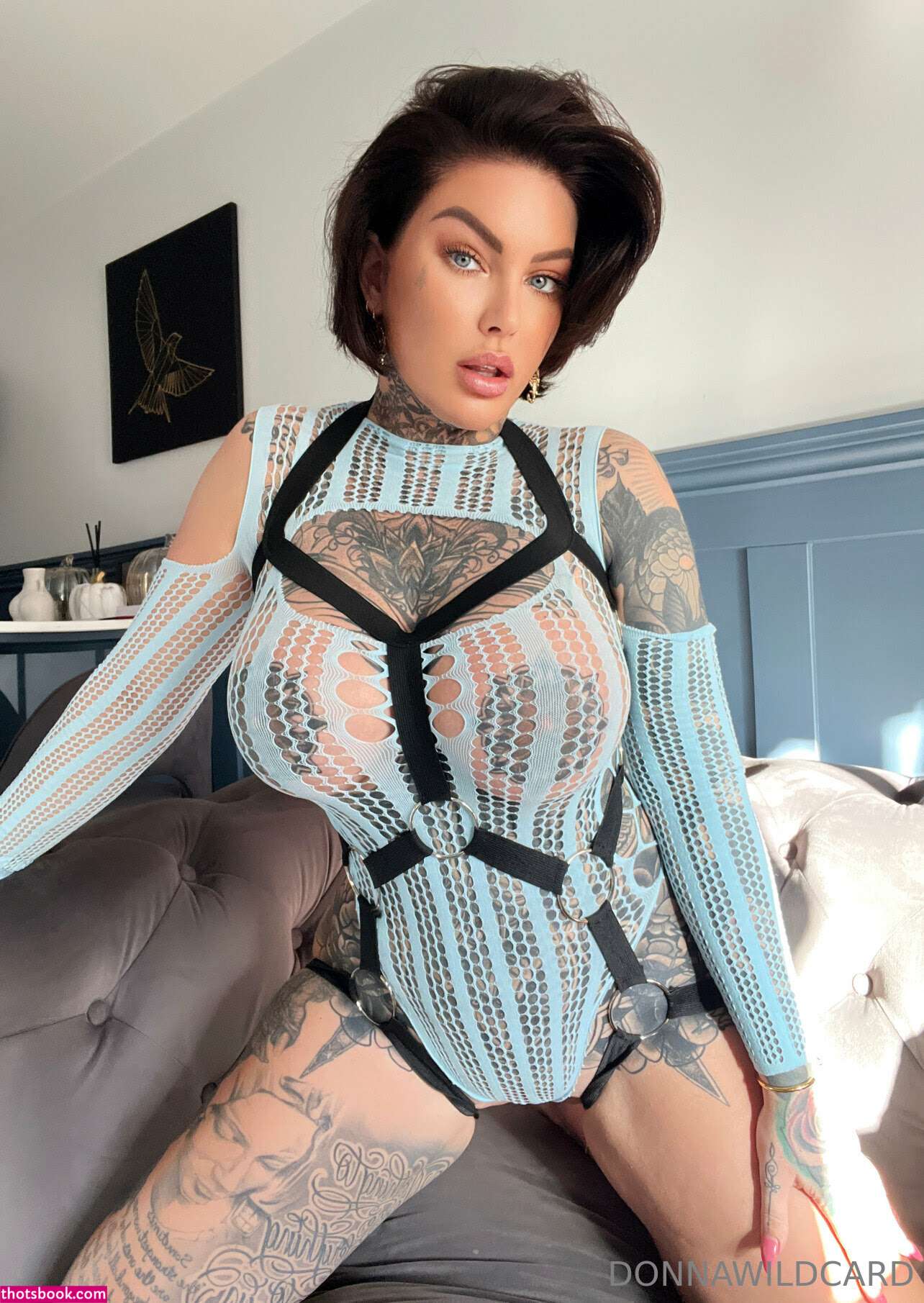 Donna Wildcard Photo #938