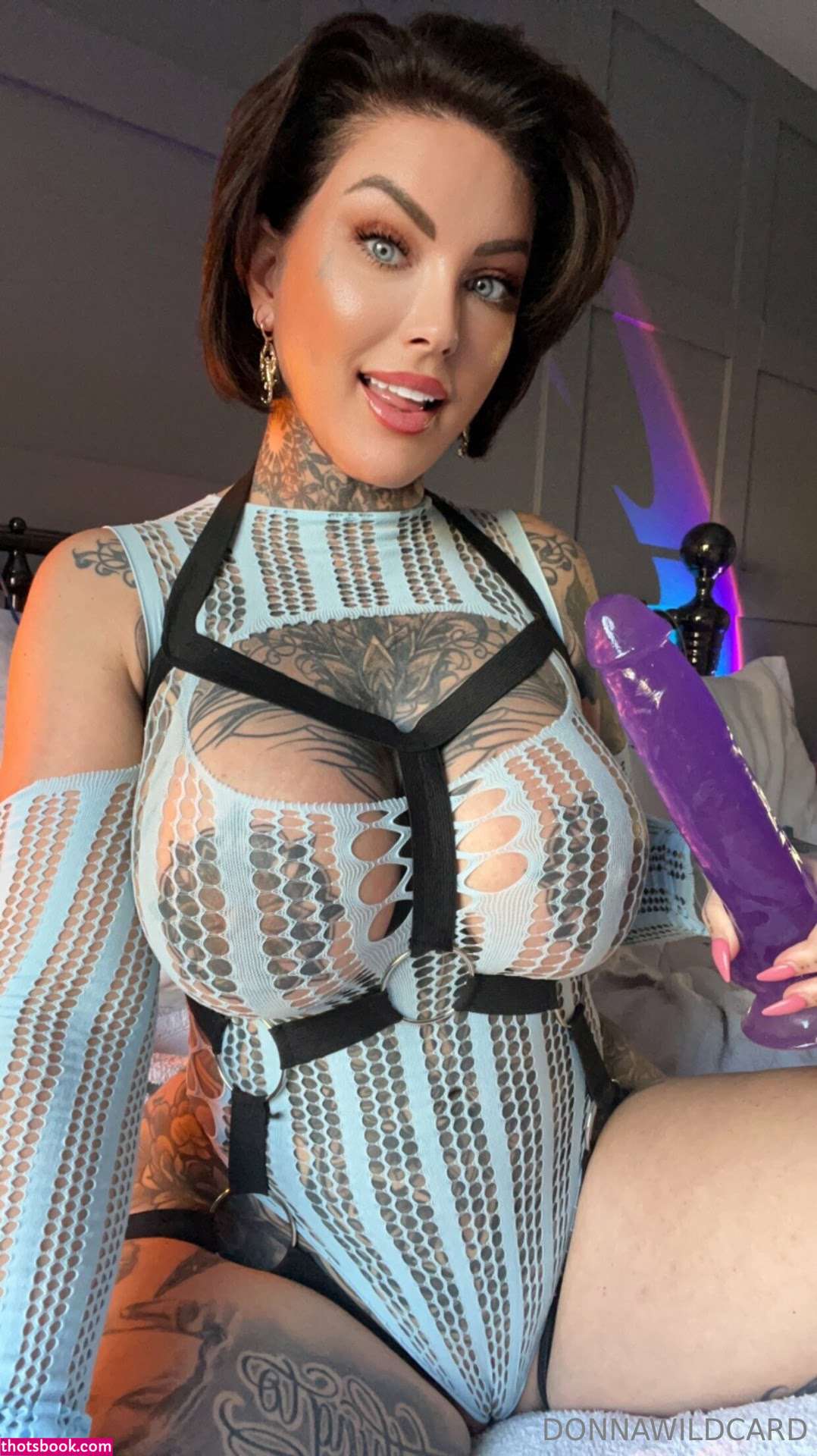 Donna Wildcard Photo #945