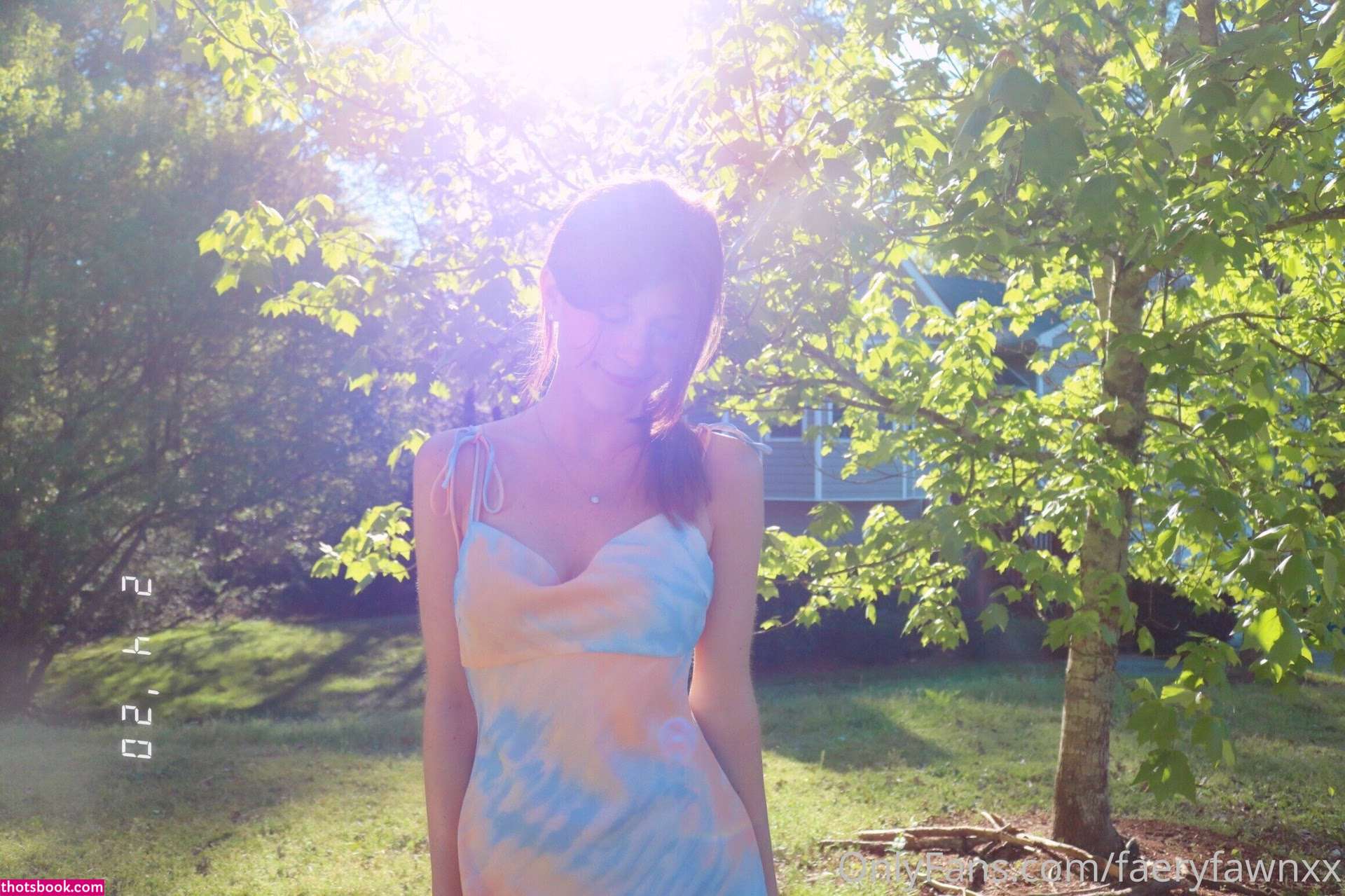 Faeryfawn Photo #105