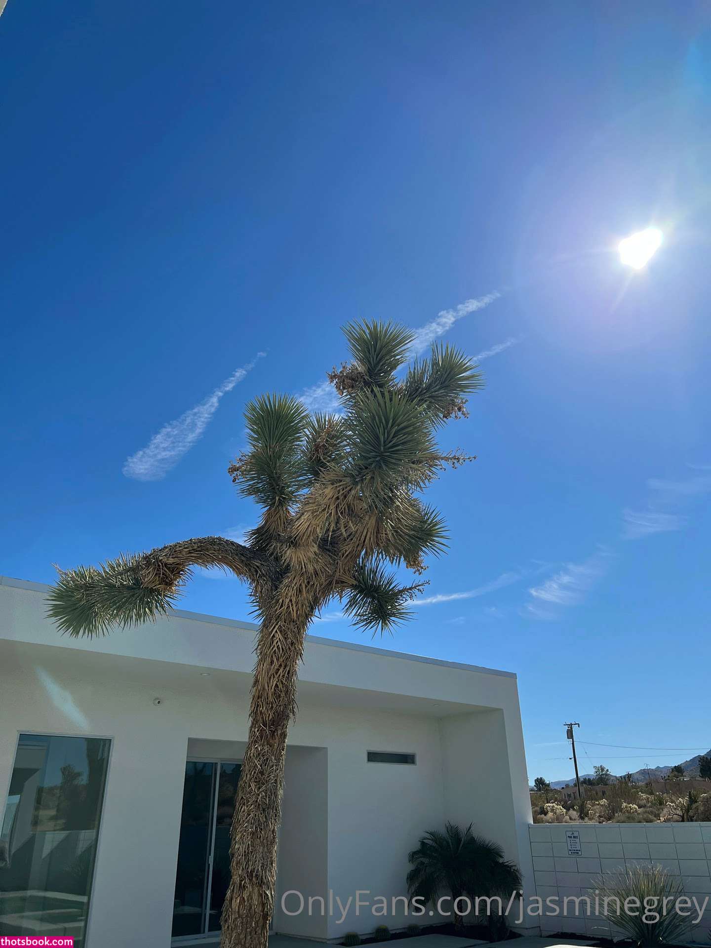 Jasmine Grey Photo #117