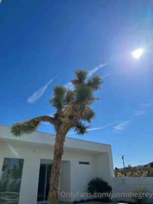 Jasmine Grey Photo #117