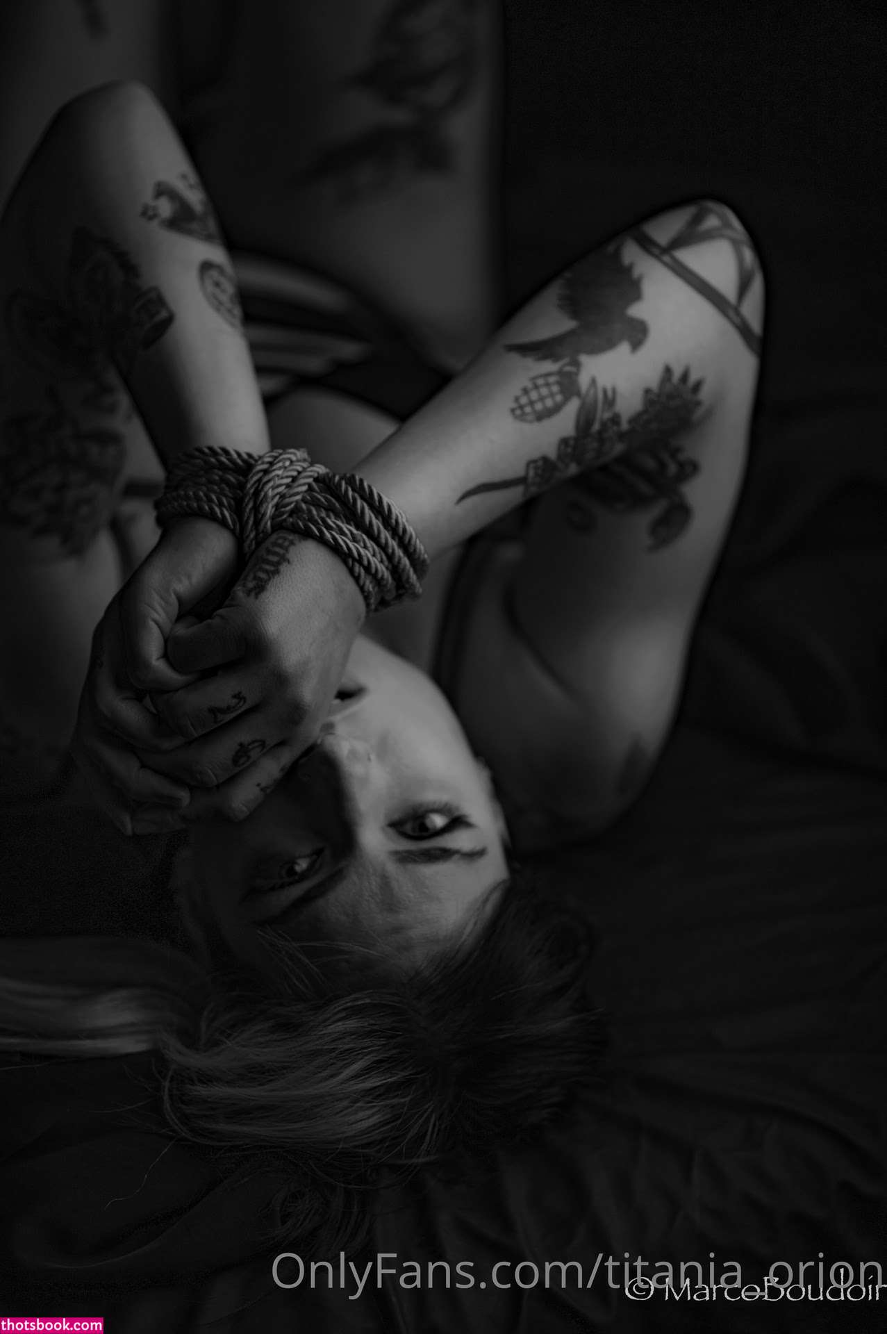 Titania Orion Photo #124