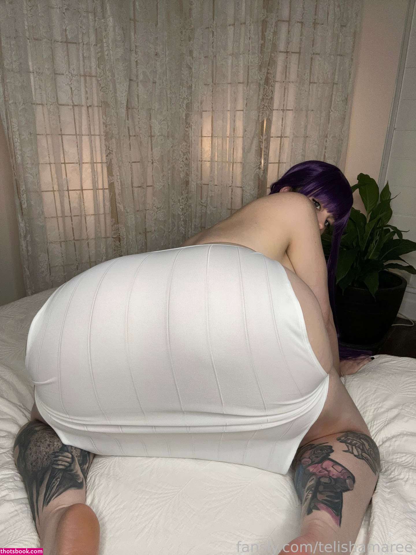 Telishmaree Photo #496