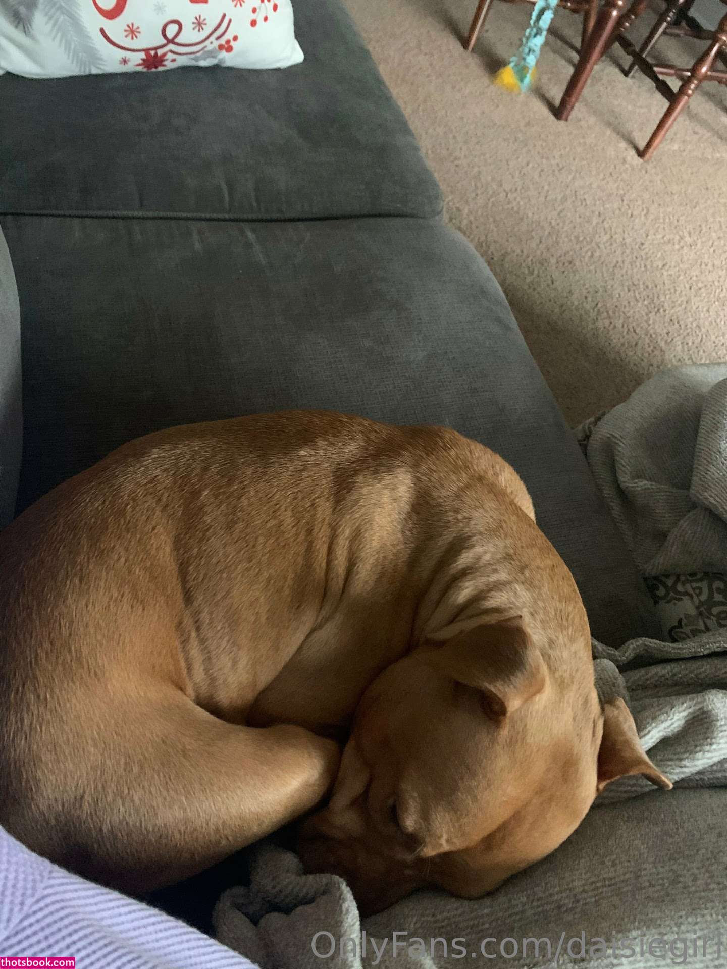 dimepiece Photo #244