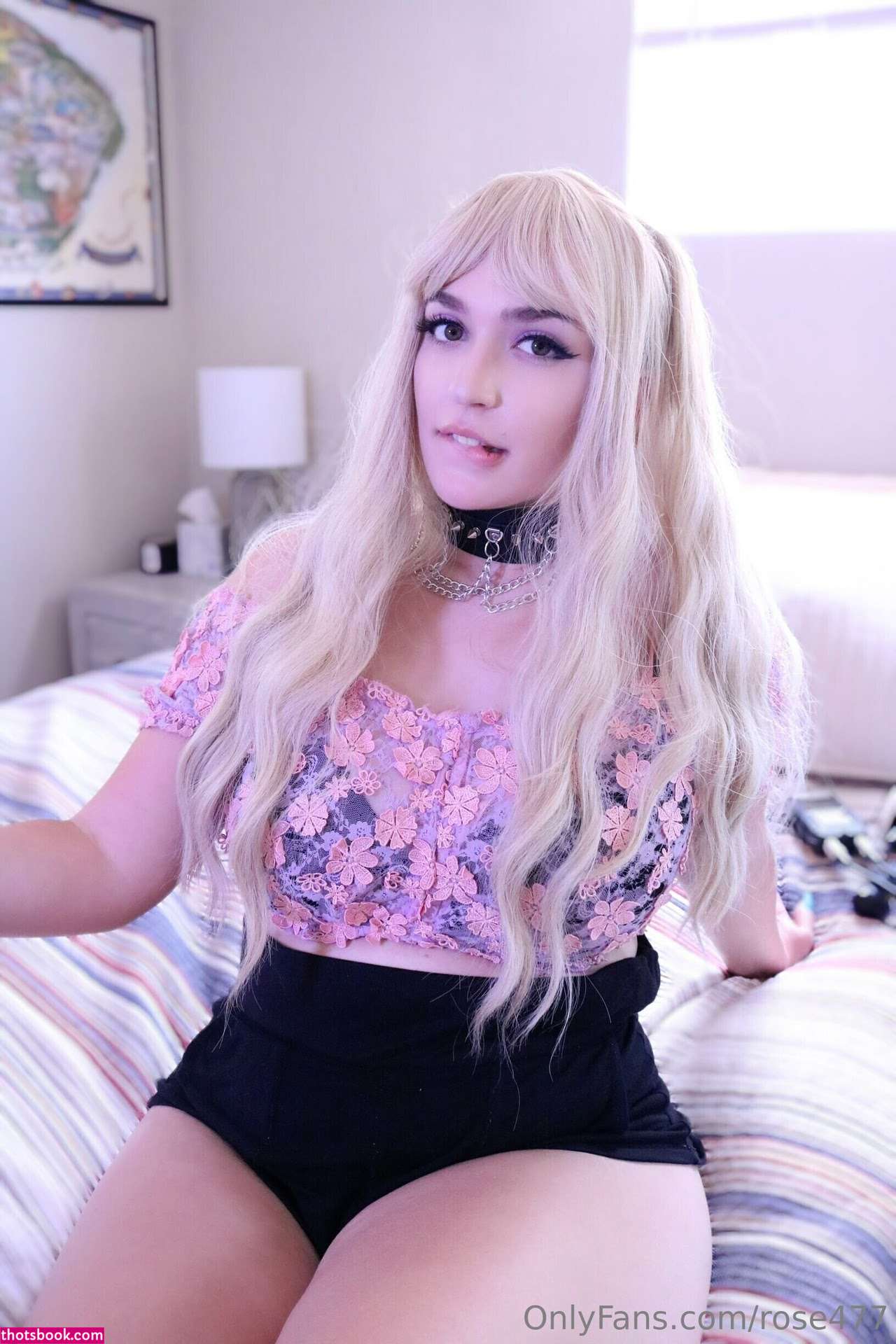 Rose ASMR Photo #122