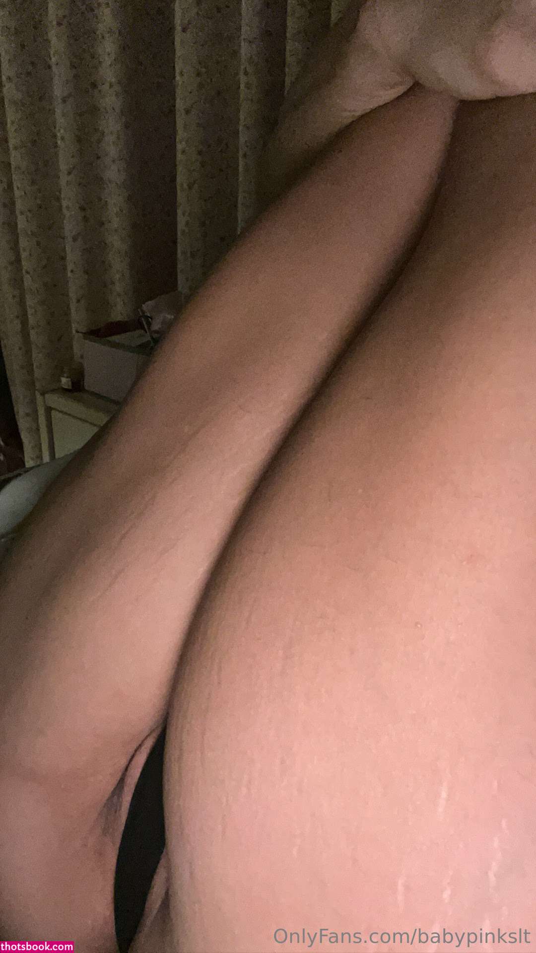 Palepinklibra Photo #194