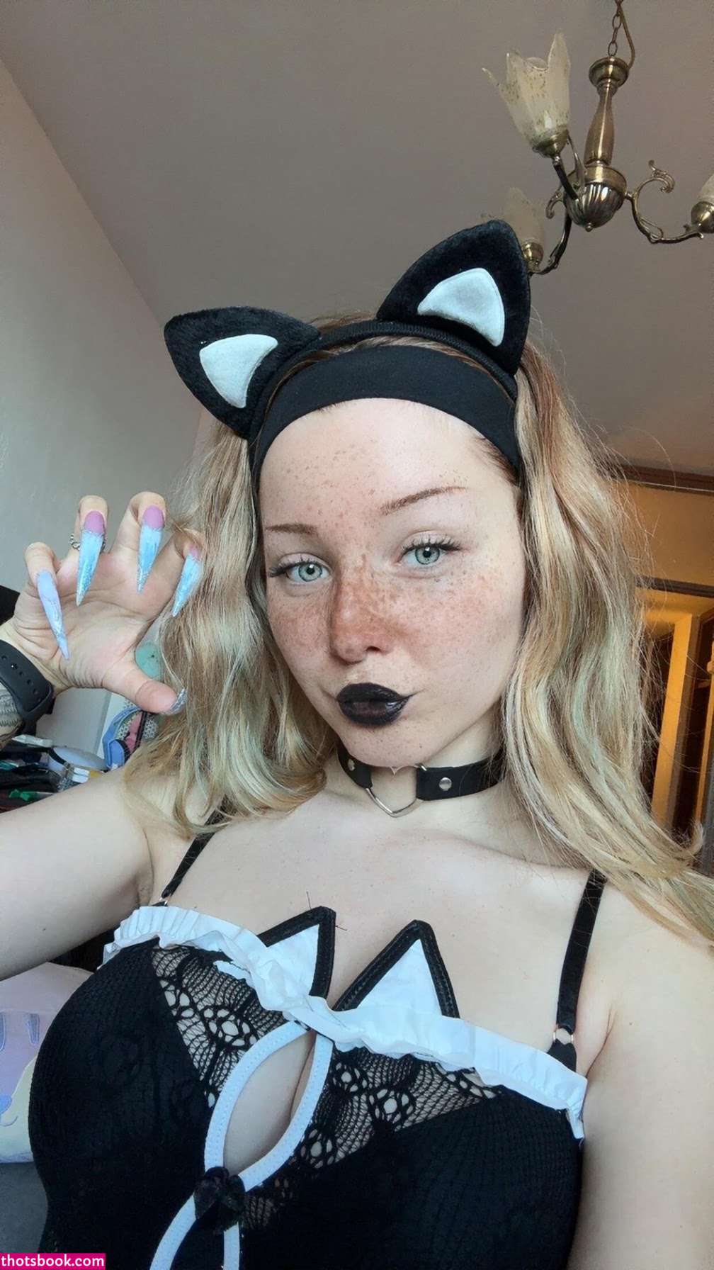 Creator Photo #1824783