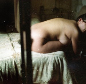 Arianalogia Photo #13