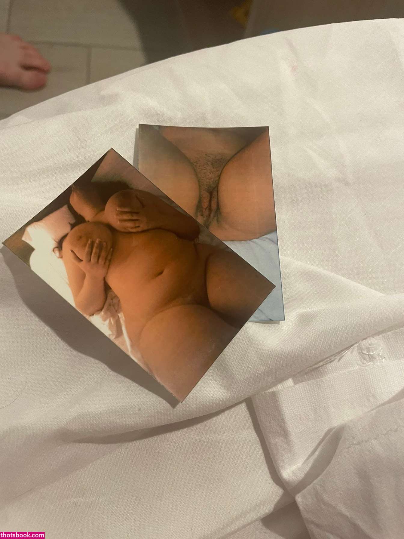 Arianalogia Photo #59