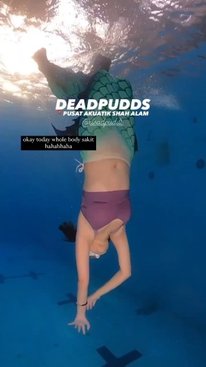 Deadpudds Post #6